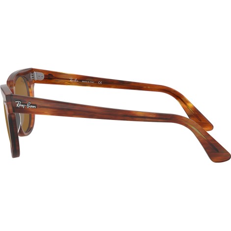 Meteor RB2168 954/33 striped havana