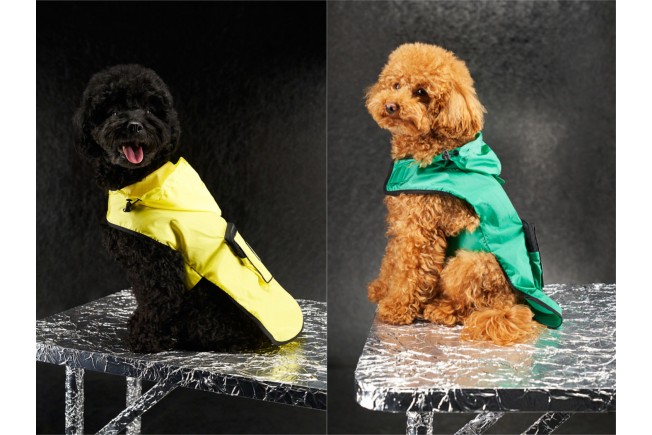 Moncler Genius - Moncler Poldo Dog Couture