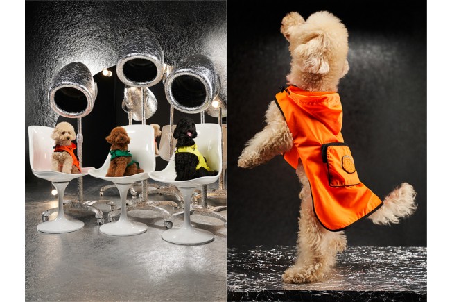 Moncler Genius - Moncler Poldo Dog Couture